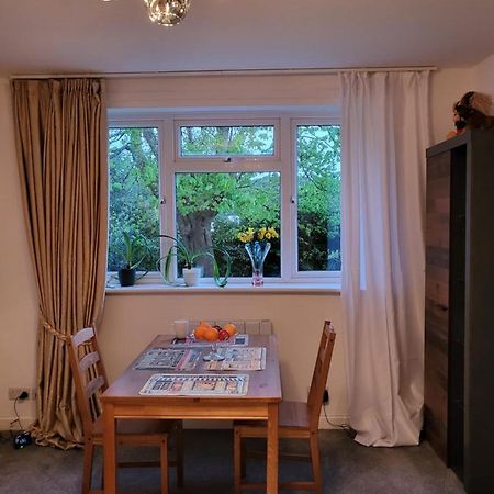 Nice Torquay Ngoại thất bức ảnh